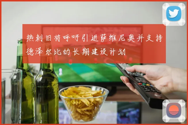 热刺旧将呼吁引进萨维尼奥并支持德泽尔比的长期建设计划