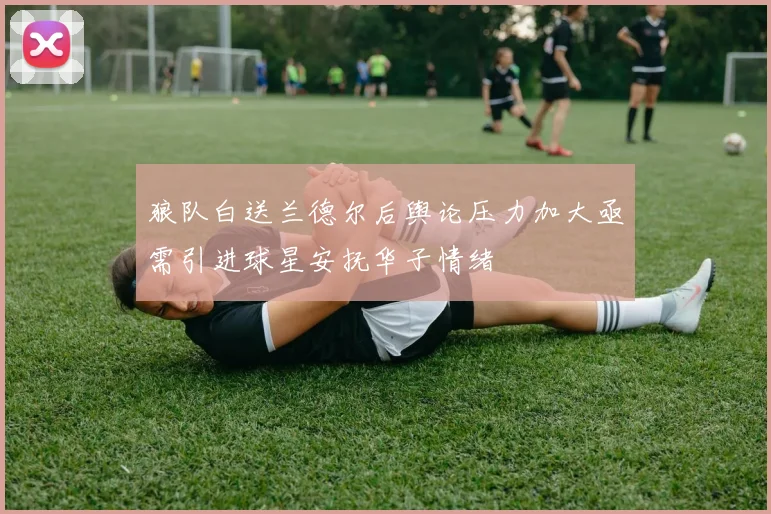 狼队白送兰德尔后舆论压力加大亟需引进球星安抚华子情绪