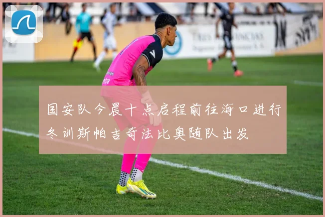 国安队今晨十点启程前往海口进行冬训斯帕吉奇法比奥随队出发