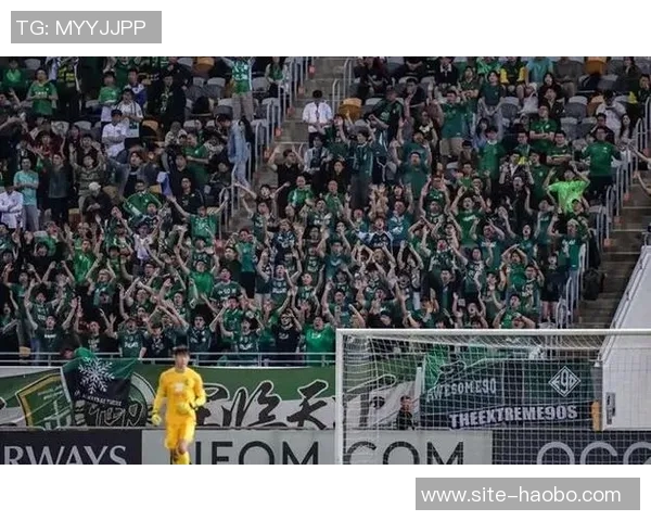 国安逆袭大埔法比奥精彩一停一射连追三球实现反超胜利 国安逆袭大埔法比奥精彩一停一射连追三球实现反超胜利